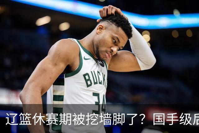 辽篮休赛期被挖墙脚了？国手级后卫恐被交易：变相逼着赵继伟走人
